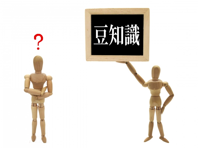 豆知識のイメージ